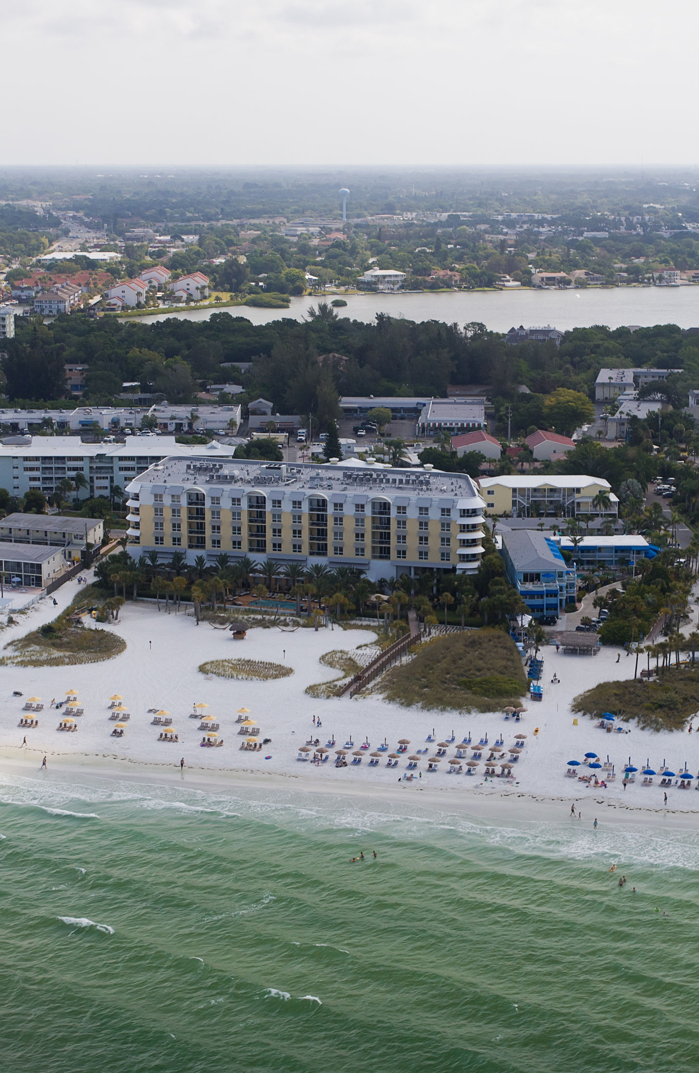 Sarasota Water Temperature - actnms5