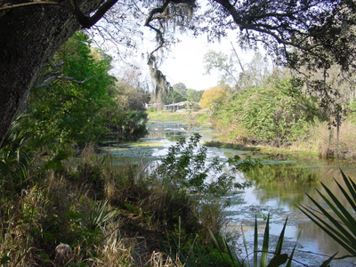 Phillippi Creek